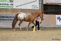 24-ApHC HIH_094